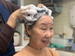 ガードナーのギャラリー写真 105