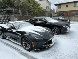 ガードナーのギャラリー写真 3