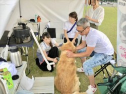 ガードナーのギャラリー写真 108