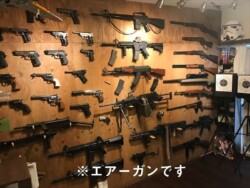 ガードナーのギャラリー写真 94